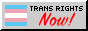 trans pride