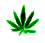 weed