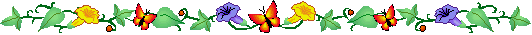 butterflies divider