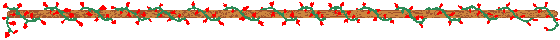 flowers divider
